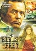 Birds of Prey movie in William A. Graham filmography.