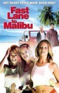 Fast Lane to Malibu movie in Kelley Cauthen filmography.