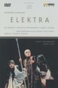 Elektra movie in Brian Large filmography.