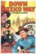 Down Mexico Way movie in Harold Huber filmography.