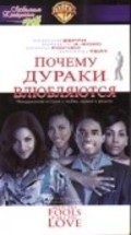 Why Do Fools Fall in Love movie in Gregory Nava filmography.