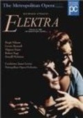 Elektra movie in Brian Large filmography.