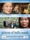 Pictures of Hollis Woods movie in Tony Bill filmography.