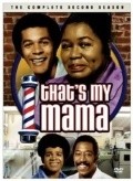 That's My Mama  (serial 1974-1975) is the best movie in Ray Vitte filmography.