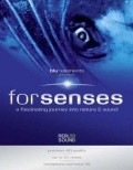 Senses is the best movie in Andy T. Tran filmography.