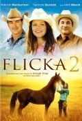 Flicka 2 movie in Michael Damian filmography.