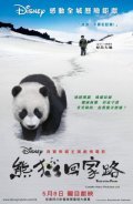 Xiong mao hui jia lu movie in Jeong Yu filmography.
