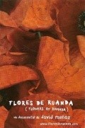 Flores de Ruanda movie in David Munoz filmography.