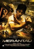 Merantau movie in Gareth Evans filmography.