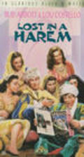 Lost in a Harem movie in Bud Abbott filmography.