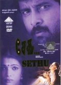 Sethu movie in Bala filmography.