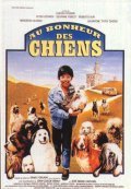 C'era un castello con 40 cani movie in Jean-Claude Brialy filmography.