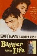 Bigger Than Life movie in Nicholas Ray filmography.