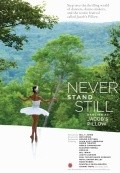 Never Stand Still is the best movie in Rasta Thomas filmography.