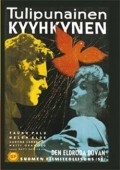 Tulipunainen kyyhkynen movie in Matti Kassila filmography.