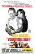 Young Dillinger movie in Terry O. Morse filmography.