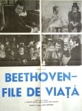 Beethoven - Tage aus einem Leben movie in Donatas Banionis filmography.