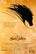 The Black Stallion movie in Carroll Ballard filmography.