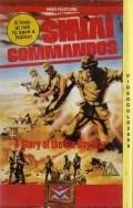 Kommando Sinai movie in Robert Fuller filmography.