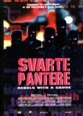 Svarte pantere movie in Henrik Mestad filmography.