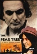 Derakhte Golabi is the best movie in Mohammad Reza Shaban-Noori filmography.