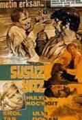 Susuz yaz movie in Metin Erksan filmography.