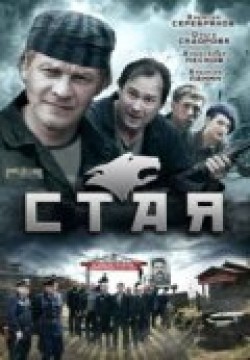 Staya (serial) movie in Andrei Zibrov filmography.