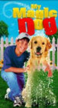 My Ghost Dog is the best movie in Jerry Turner filmography.
