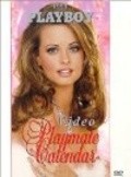Playboy Video Playmate Calendar 1999 movie in Donna D'Errico filmography.