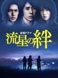 Ryusei no kizuna is the best movie in Osamu Shitara filmography.