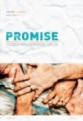 Promise is the best movie in Jeremy Lucas filmography.