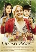 Cinar agaci movie in Handan Ipekci filmography.