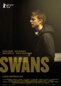 Swans movie in Hyugo Viyera Da Silva filmography.
