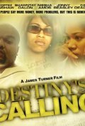Destiny's Calling is the best movie in Shontey Delon filmography.