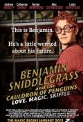 Benjamin Sniddlegrass and the Cauldron of Penguins is the best movie in Linda Newstead filmography.