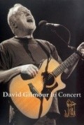 David Gilmour in Concert movie in David Mallet filmography.