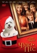 My Dog's Christmas Miracle movie in Michael Feifer filmography.
