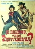 Ci risiamo, vero Provvidenza? movie in Federico Boido filmography.