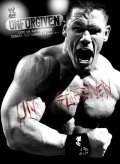 WWE Unforgiven movie in John Cena filmography.