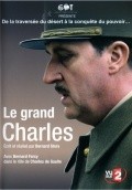 Le grand Charles is the best movie in David Ryall filmography.