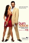 Burn Notice movie in Dennie Gordon filmography.