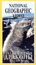 The Dragons of Galapagos movie in David Attenborough filmography.