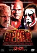 TNA Wrestling: Bound for Glory movie in Steve Borden filmography.