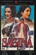 Sagina is the best movie in Chinmoy Roy filmography.