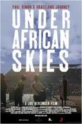 Under African Skies movie in Joe Berlinger filmography.