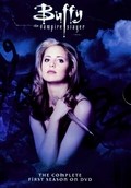 Buffy the Vampire Slayer movie in David Solomon filmography.