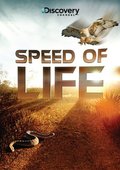 Speed of Life movie in Donald Shults filmography.