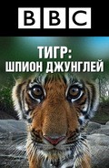 Tiger: Spy in the Jungle movie in David Attenborough filmography.
