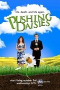 Pushing Daisies movie in Chi McBride filmography.
