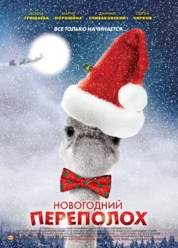 Novogodniy perepoloh (mini-serial) movie in Tatyana Kravchenko filmography.